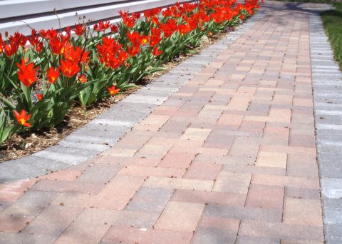 Brick Walkway with Tulips