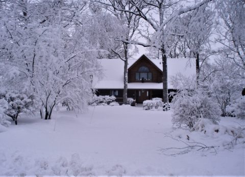 Wisconsin Winter Residential Landscape
