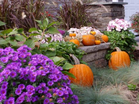 Fall landscape with pumpkin display