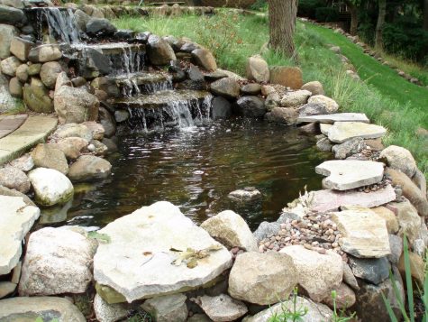 Pond and waterfall feature in landscape